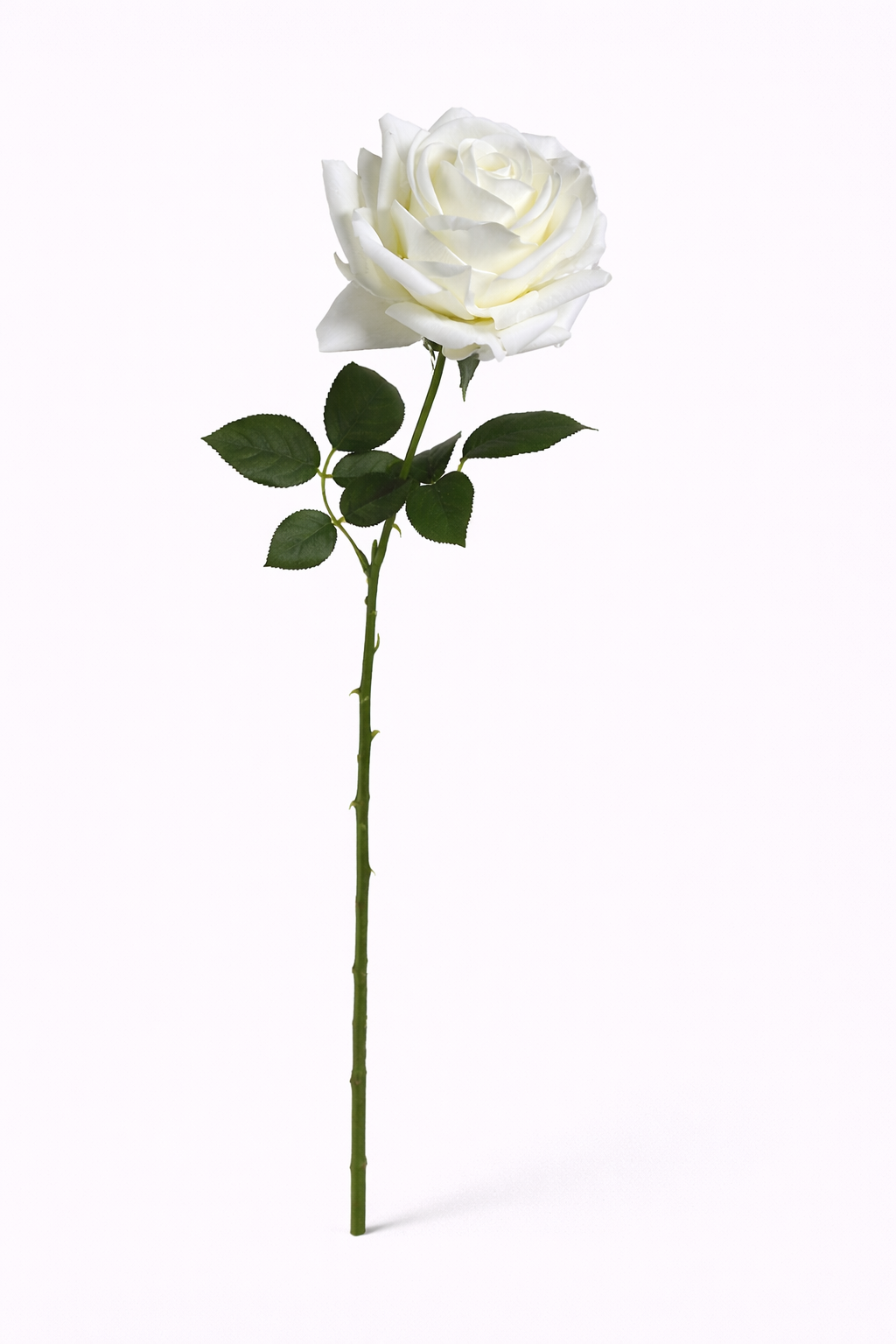 Real Touch White Rose Stem