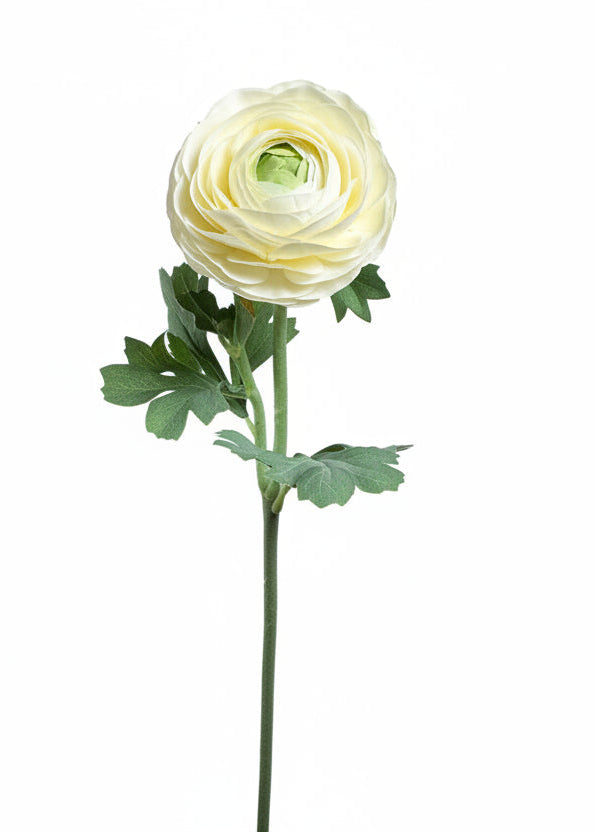 Real Touch White Ranunculus Stem