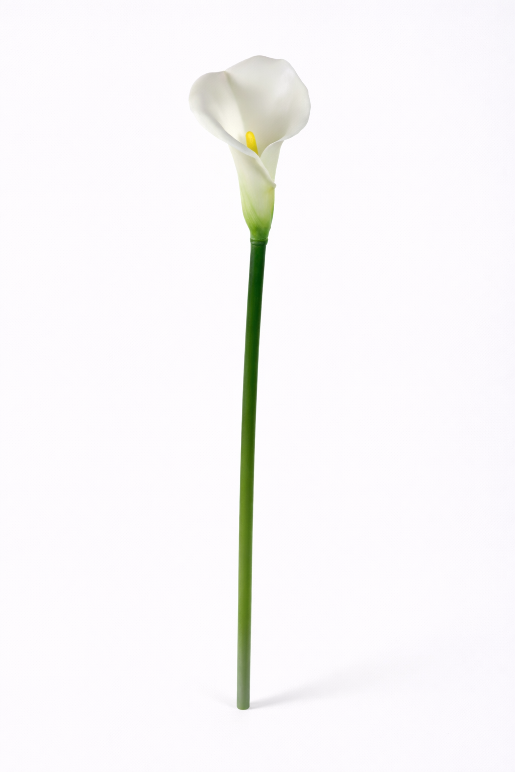 Real Touch White Calla Lily Stem – 29.5”