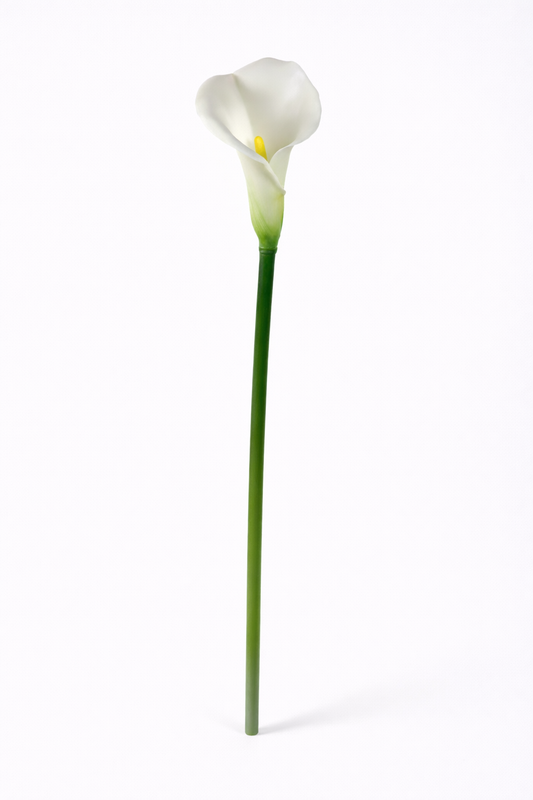 Real Touch White Calla Lily Stem – 29.5”