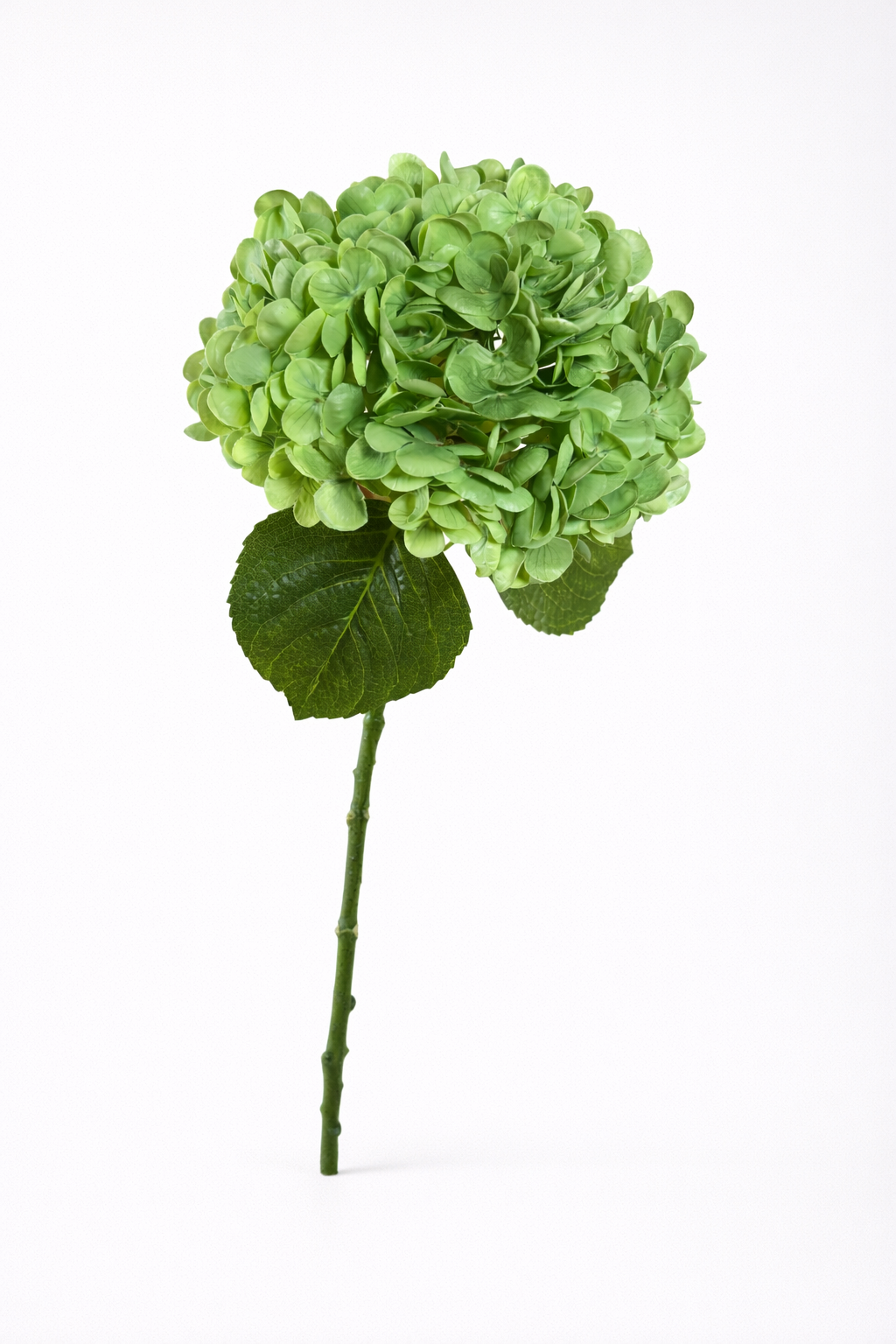 Real Touch Green Hydrangea Stem