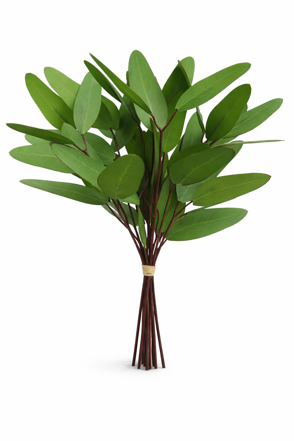 Real Touch Green Eucalyptus Stem (8 Branches)