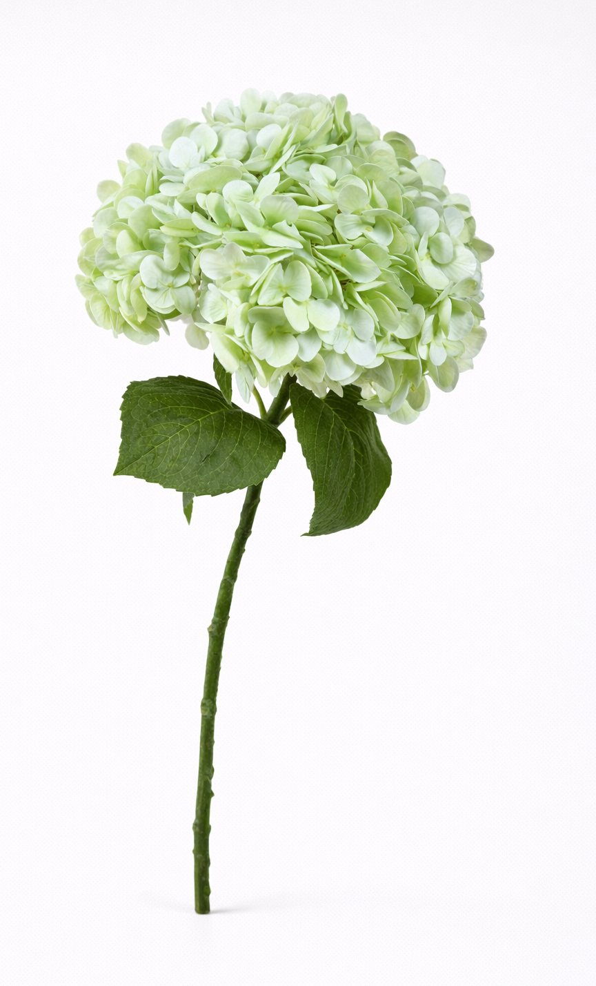Real Touch faux green hydrangea flower on a white background