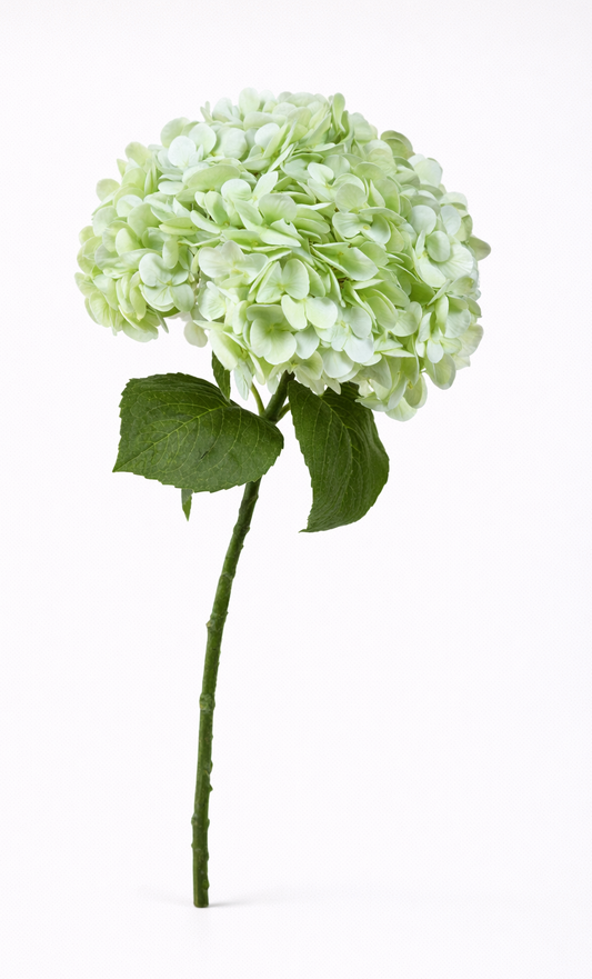 Real Touch faux green hydrangea flower on a white background